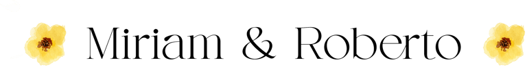 Luz de Vínculo logo