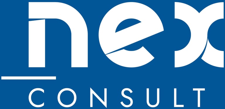 NexConsult logo