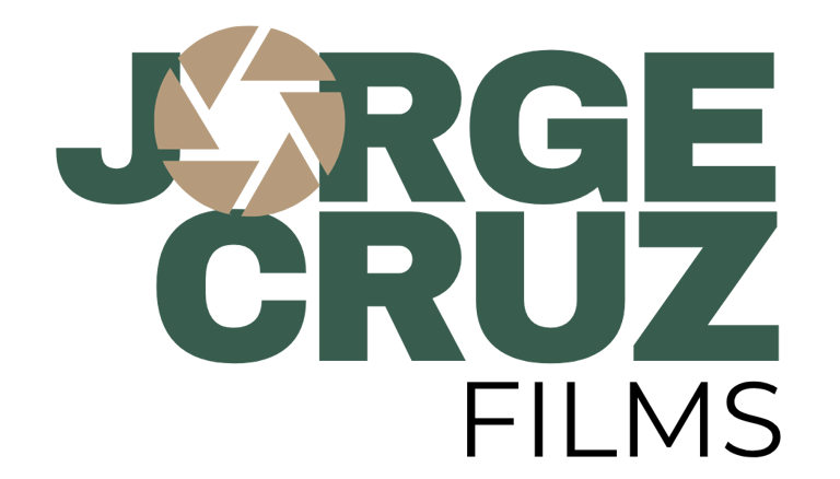 VuelaMar logo