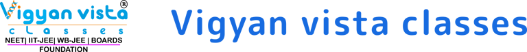 Vigyan vista classes logo