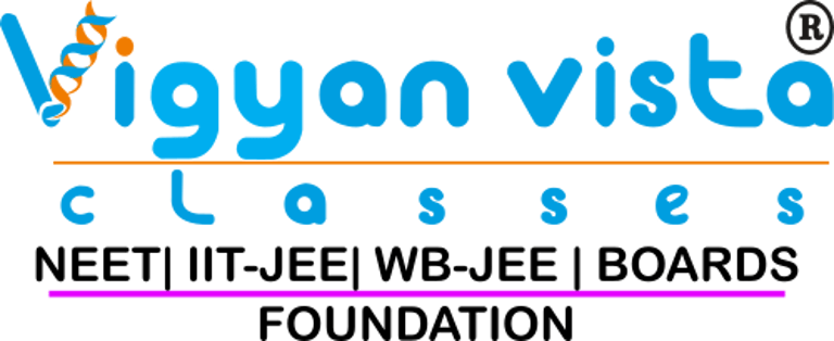 Vigyan vista classes logo