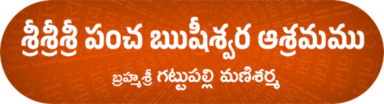 Gattupalli Manisarma - Astrologer logo