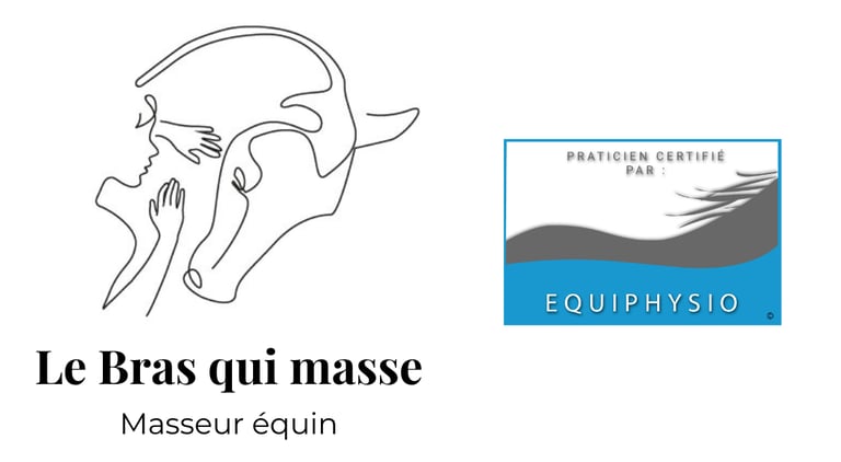 Le Bras qui masse logo