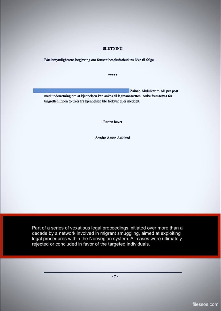 Zainab Abdulkarim Ali , lose a malicious lawsuit before the Oslo District Court, Zainab Art Smuggler 2008 Crotone