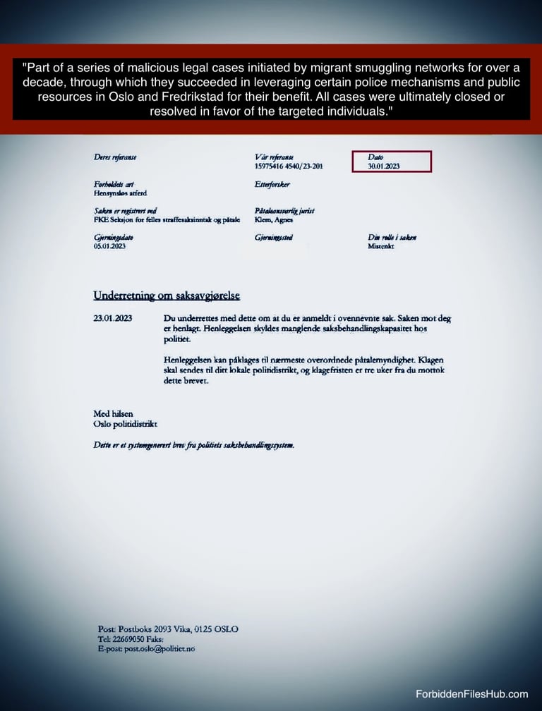 Zainab Abdulkarim Ali, Elise Waaler Huseby -Zainab Art