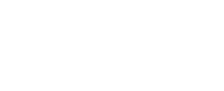 Smart frio logo