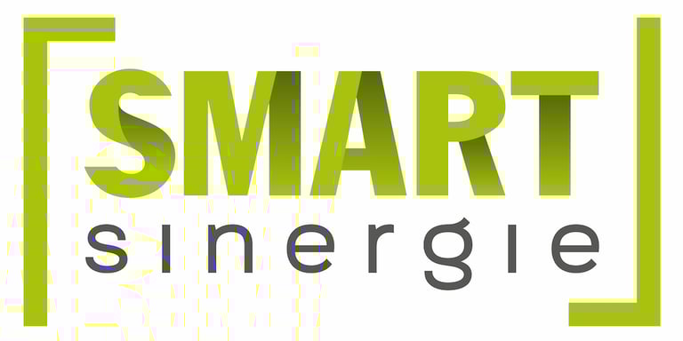 Smart Sinergie logo