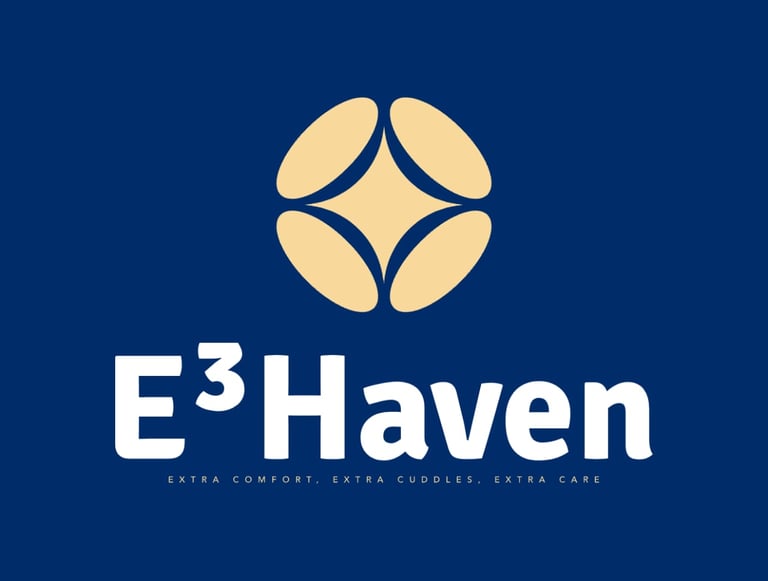 E³Haven logo