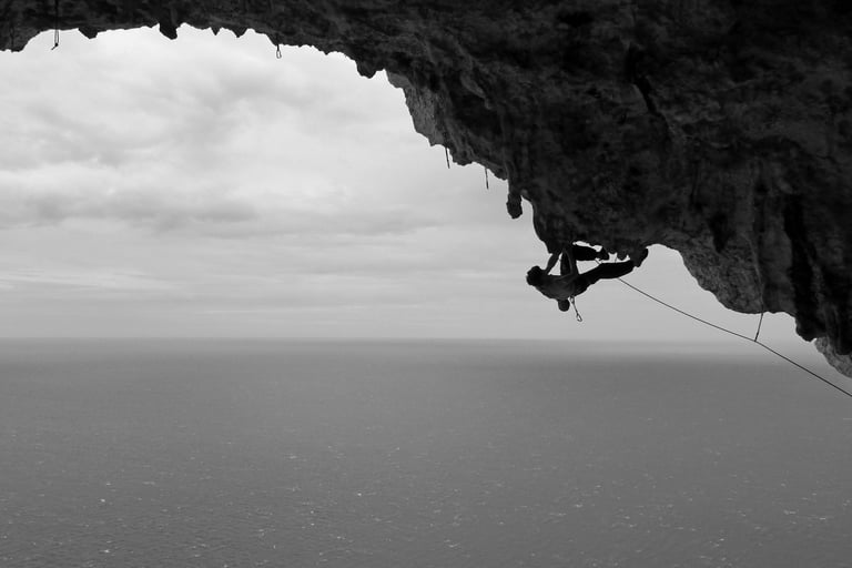 escalade tête de chien