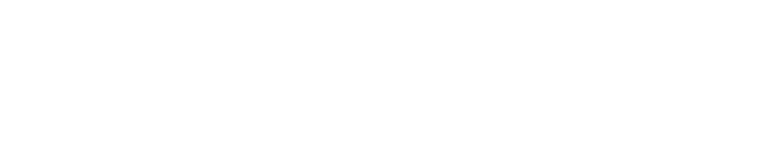 Dronewise logo