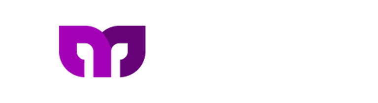 MspyReview logo