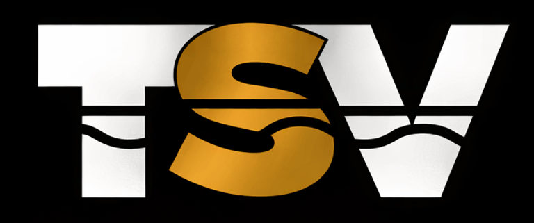 TSV Controls logo