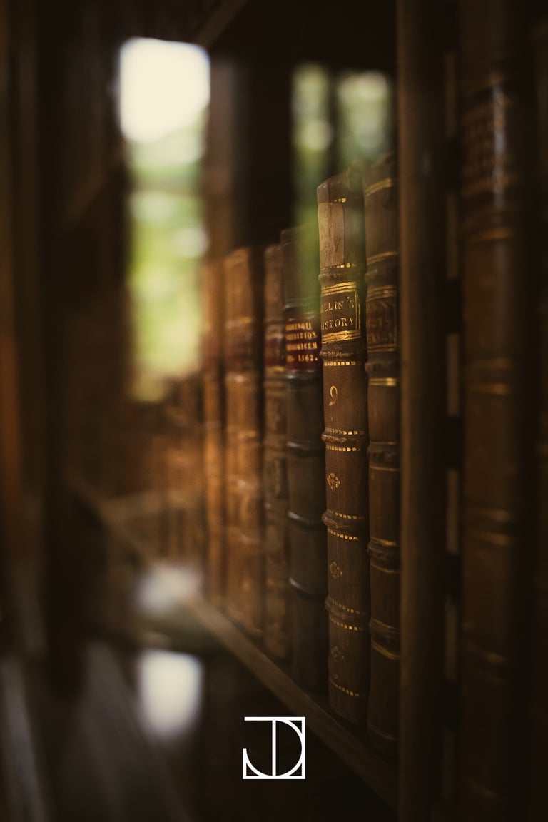 photo intérieur château bibliothèque livre armoire boiserie cuir reflet