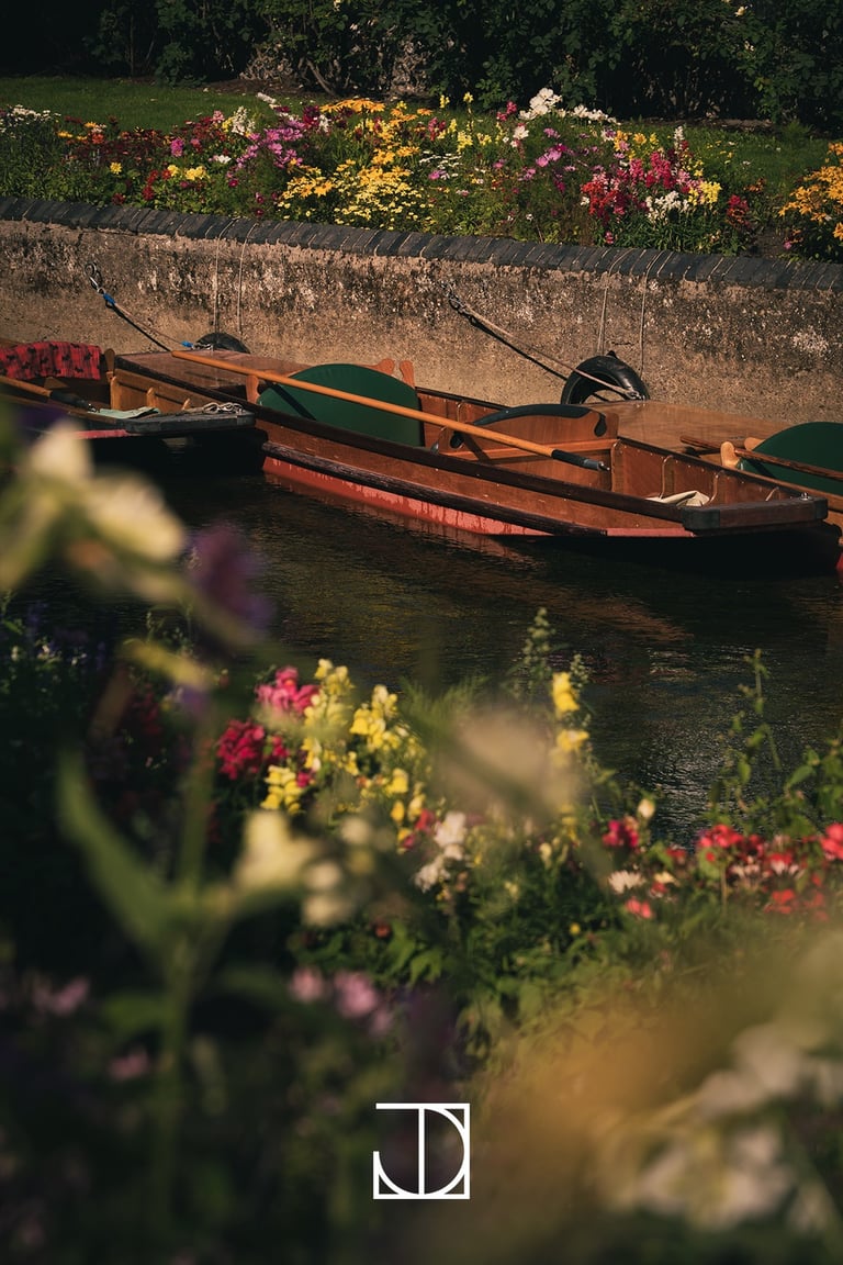 photo rivière barque fleur couleur