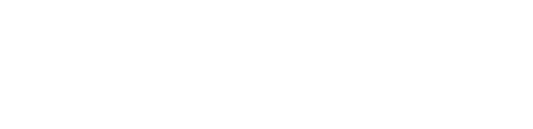 Night To Shine Texoma logo