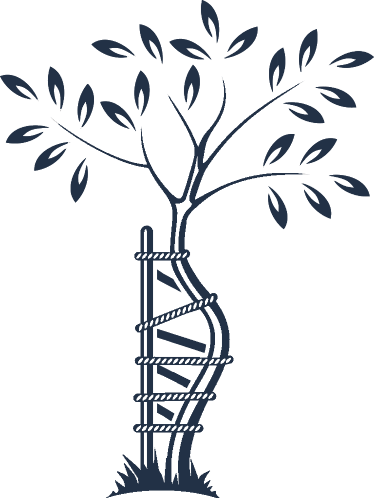 Orthopaedics and Trauma Services logo