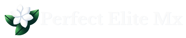 Perfect Elite Mx logo