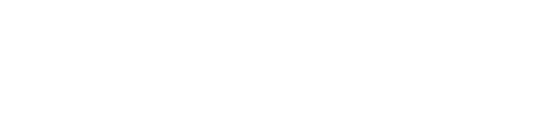 SCHERTAX logo