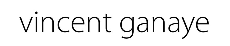 vincent ganaye - peintre et photographe logo