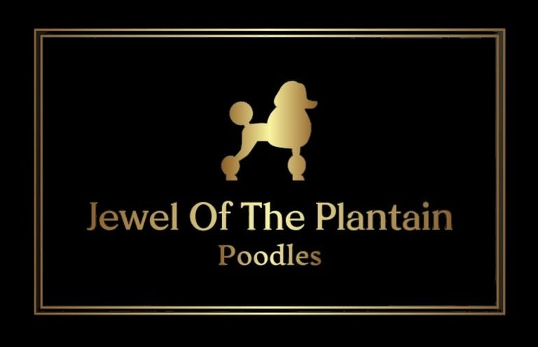 Jewel Of The Plantain, Dutch breeder of FCI Poodles logo