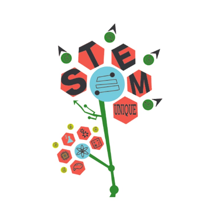 STEM Unique logo