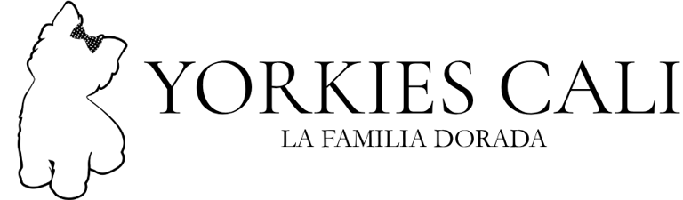 YORKIES CALI GOLD logo