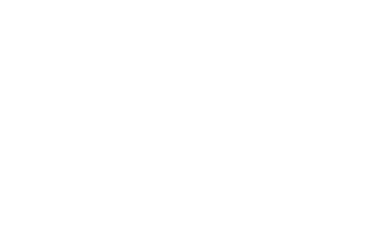 LAVA Interior logo