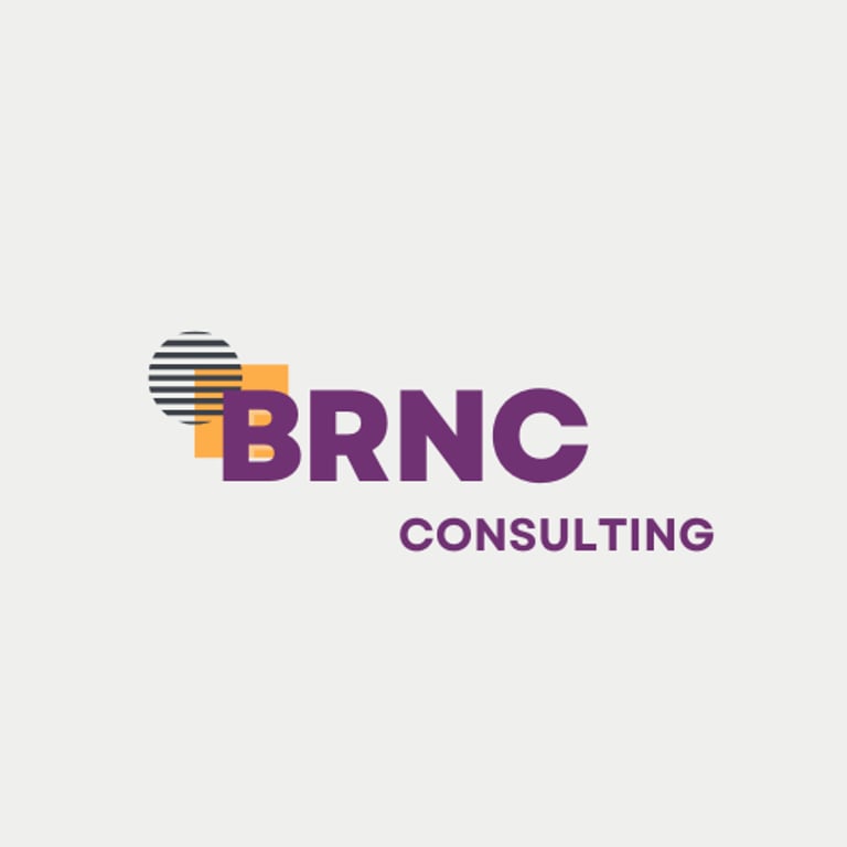 BRNC Consulting logo