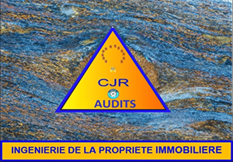 CJR AUDITS logo