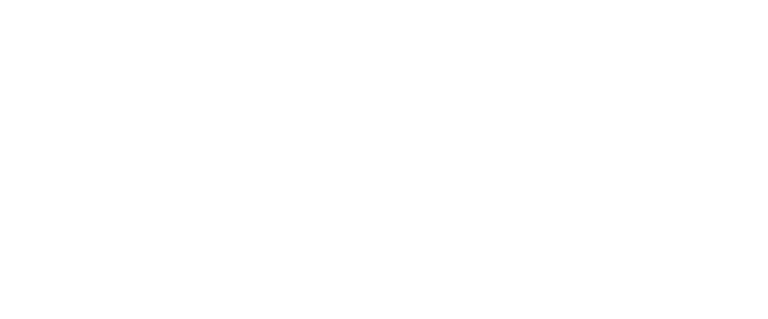 Noe Noel logo