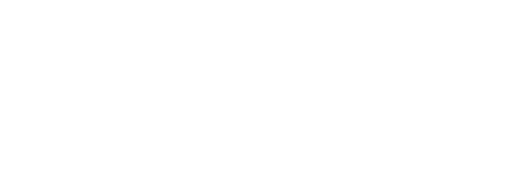 ORNITEC GmbH - Bird-Control-Laser logo