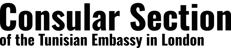 Consular Section logo