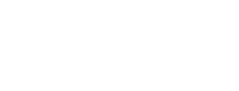 PaperJet Flights logo