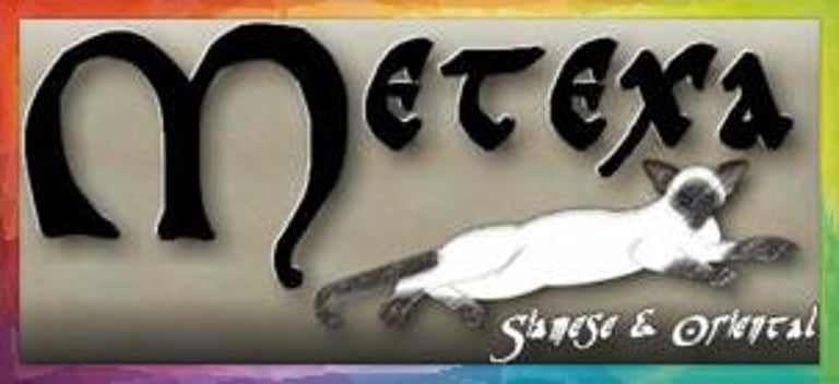 Metexa Siamese & Orientals Pedigree Cats based in the UK logo