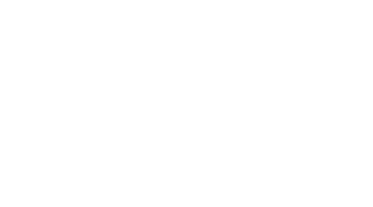VAMOLO TRAVEL logo