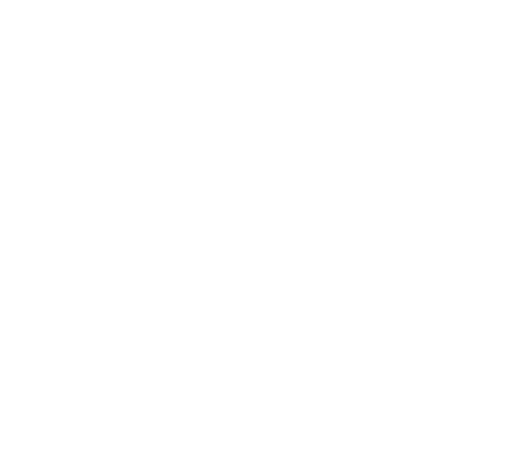 VAMOLO TRAVEL logo