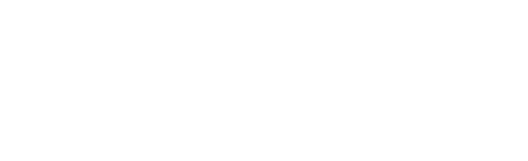 Netconnect Costa Rica logo