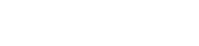Leosphere logo