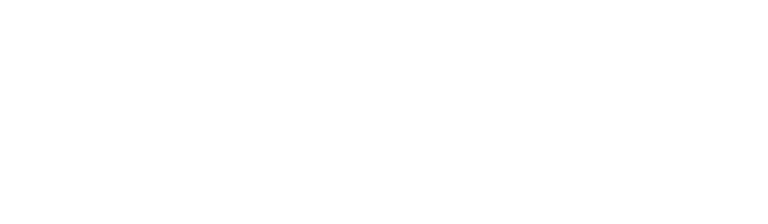 Precision Stone Masonry logo