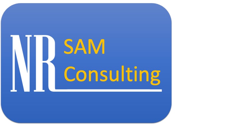 NR SAM Consulting logo