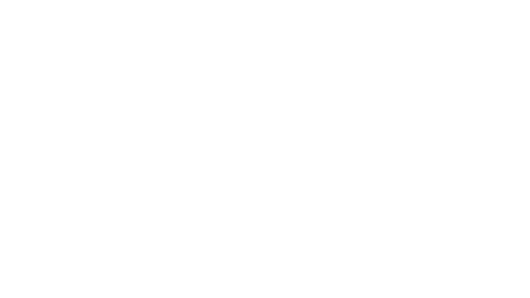 visionlb logo