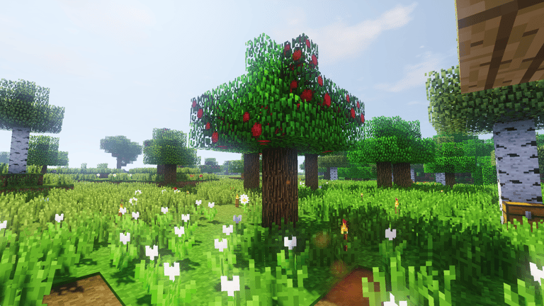 Apple Tree with Croptopia and TME Shaders during a day