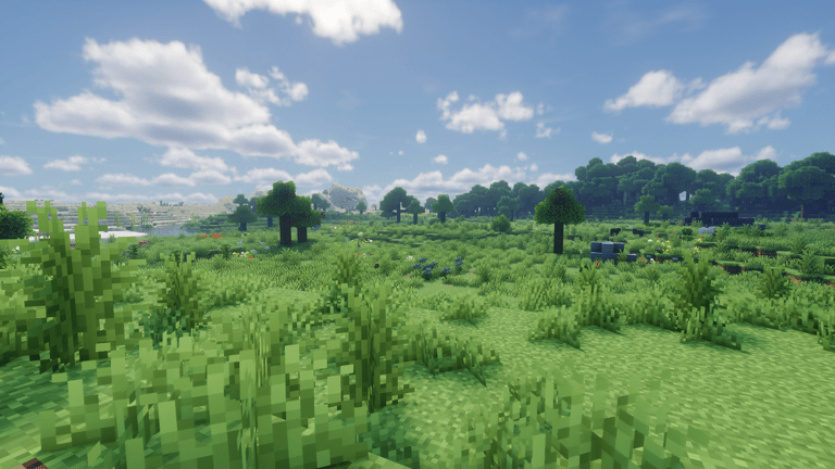 Plains found with Biome Spawn Point mod on Minecraft