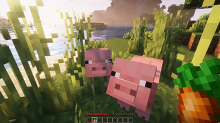 Pigs following with a carrot in hand