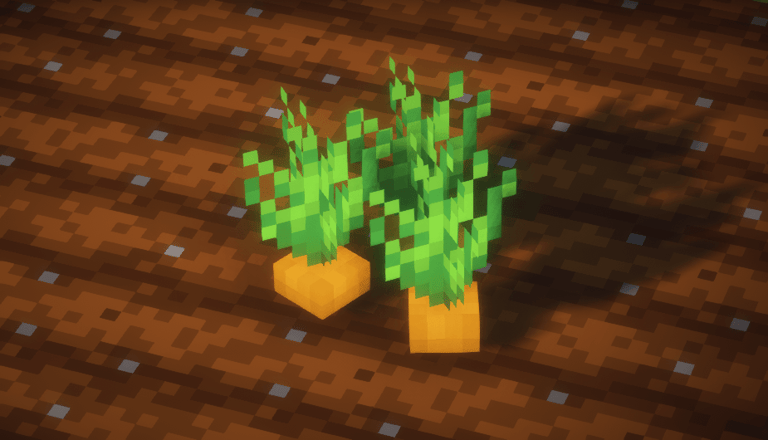 3D Carrots in Minecraft