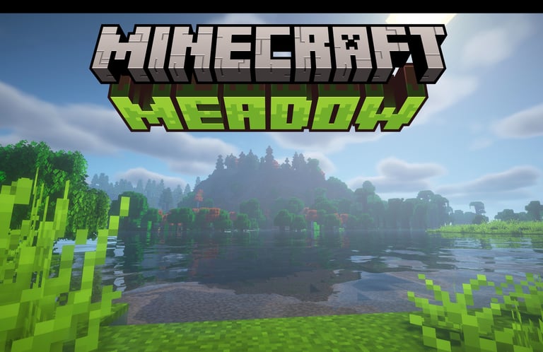 Welcome to Meadow!