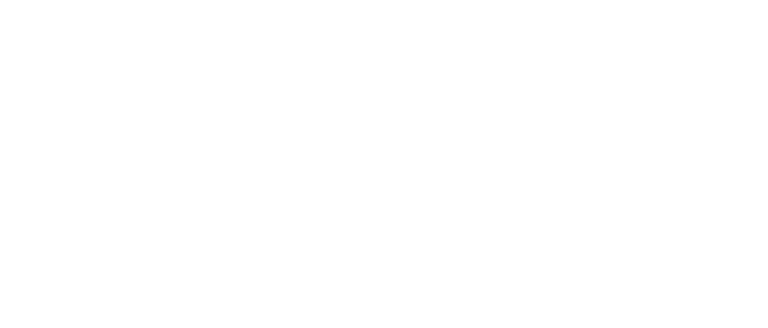BluePeak Plumbing logo