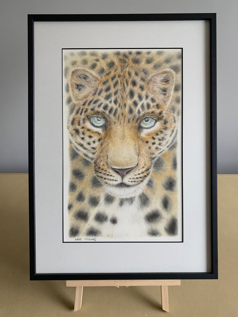 Leopard