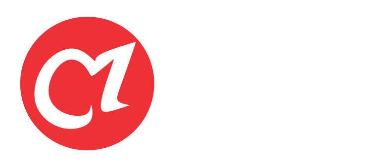 The Wolf Pro Painting logo