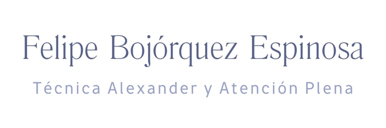 Felipe Bojórquez Espinosa logo